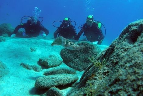 Voyage Fuerteventura, S�jour�Fuerteventura : H�tel Paraiso Playa 4*