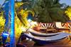 Transat - Eden Palm