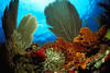 Fonds sous-marins