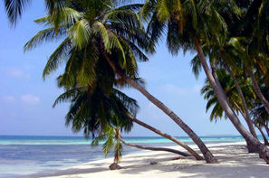 Guadeloupe-Pointe A Pitre, Combiné hôtels Basse-Terre en toute liberté à l'hôtel Caraibes Bonheur & Marie-Galante à l'hôtel Cap Reva