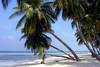 Guadeloupe - Pointe A Pitre, Résidence locative Résidence Bord de Mer