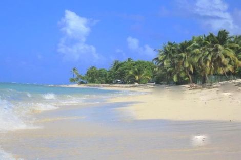 Résidence Tropicale - Résidence Tropicale