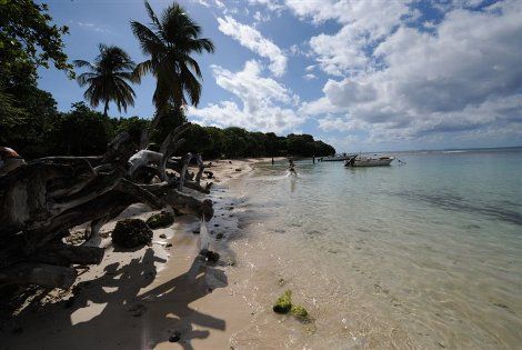 Plage sauvage