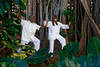 Tai Chi - Legends