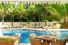 Piscine - Tropical