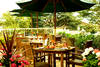 Restauration - Terrasse - Merton