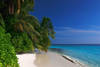 Plage - Fihalhohi Resort