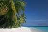Plage - Fihalhohi Resort