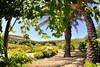 Gozo