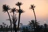 Maroc - Agadir, 4 JOURS / 3 NUITS - Hôtel Palais des Roses 5*