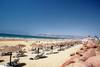Plage - Palais des Roses