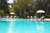 Piscine - Golden Tulip Farah