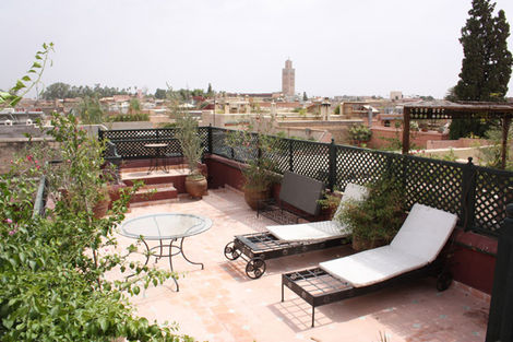 Terrasse - Dromadaire Bleu