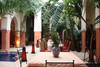 Patio - Dromadaire Bleu