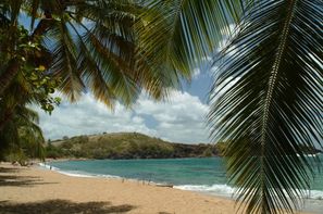 Vacances Trois-Ilets: Hôtel La Suite Villa