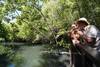Mangrove du complxes Sandos Caracol - Sandos Caracol Beach Resort & Spa