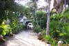 Mexique - Cancun, Hôtel Colibri 3*