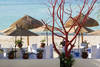 Restaurant de fruits de mer à la carte - Be Live Palm Beach