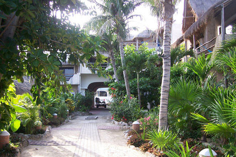H&ocirc;tel Colibri 3* - PLAYA DEL CARMEN - MEXIQUE