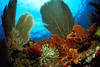 Republique Dominicaine - Puerto Plata, Hôtel Casa Marina Beach et Reef 3*