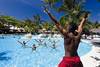 Activités dans la piscine - Riu Mambo