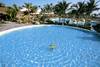 Piscine - Riu Merengue