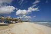 plage - Hard Rock Hotel& Casino Punta Cana