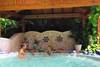 Piscine - Bavaro Princess