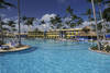 Piscine - Grand Paradise Bavaro