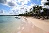 Republique Dominicaine - Punta Cana, Hôtel Barcelo Bavaro Palace  Golf Room 5*
