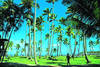 Plage de l'hôtel - Lookéa Samana