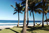 Plage - Palm Hotel & Spa
