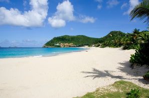 Saint Barthelemy-Saint Barthelemy, Hôtel Le Tropical