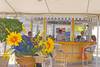 bar - Beach Plaza
