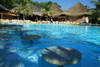 Piscine - Neptune