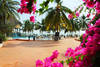 Plage - Africa Queen