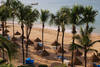 Plage de l'hôtel - Framissima Palm Beach
