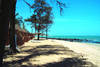 Plage - Lookéa Royal Baobab