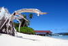 Plage du New Emerald Cove - Corail en prestige Plus