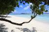 Plage - Labriz Silhouette