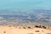 Eau de mer à la plage de Selinunte - L'Oasi di Selinunte