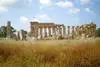 temple de Selinunte