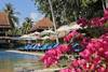 TEMPLES ET SOLEIL AU CORAL BANSAPHAN - Club Coral Saveurs culinaires
