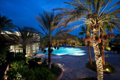 Piscine - Palm Beach Tozeur