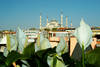 Turquie - Istanbul, Hôtel Séjour découverte Istanbul la Magnifique 3*
