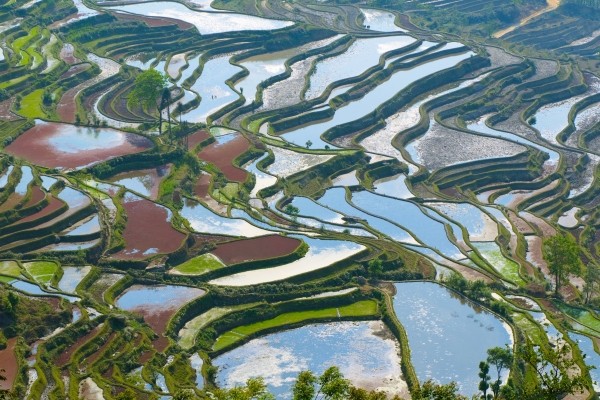 Circuit Trésors de Chine Non référencé