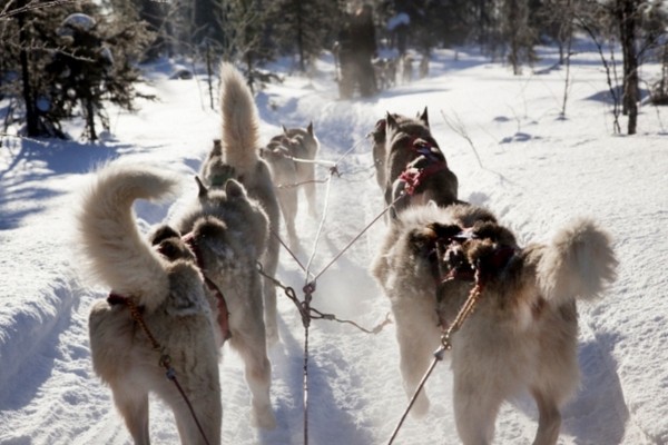 rencontre avec le pere noel en finlande