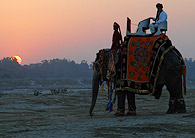 Circuit en Inde Privatifs