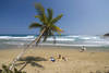 Plage de Cabarete - 