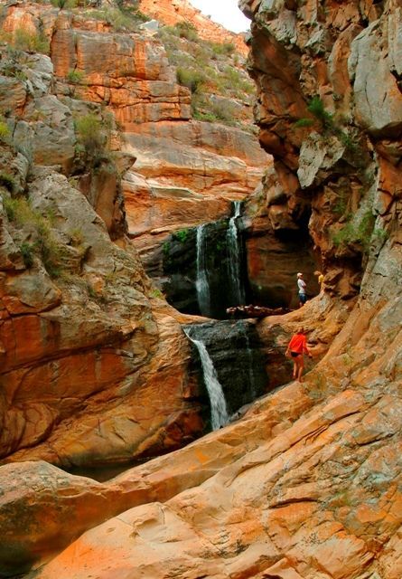 Afrique du Sud-Baleines à Hermanus saut hors de l eau